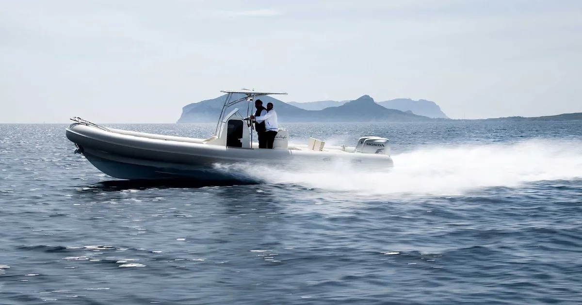 Scanner Marine Pro Line 870 D — gumenjak 8,7 m, fotografija 2 od 4